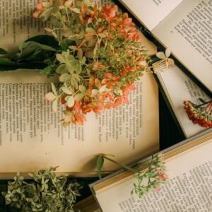 Libros